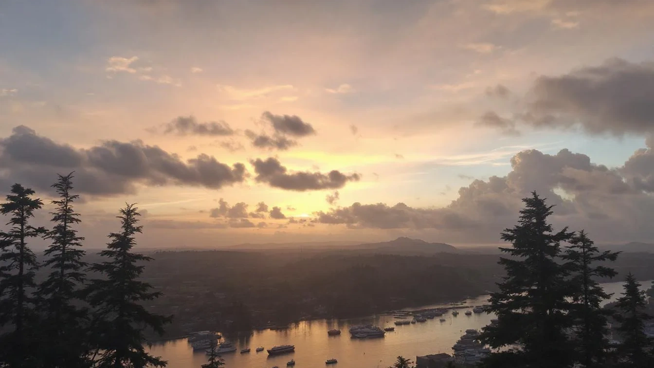 Porque as previsões meteorológicas falham nas geadas tardias